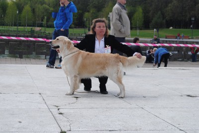 2 июля 2010 года г. Минск «Региональная выставка собак всех пород» Победитель класса «юниор» 