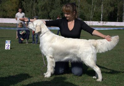 Канрит Дали Карри - отлично 1, JCAC