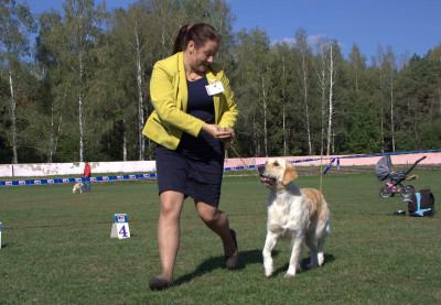 Алимея Корса Вланти Делимар