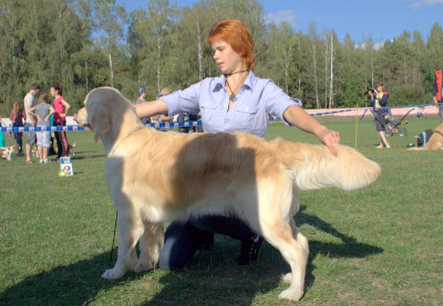 Венеция Лаура - отлично -1 САС.