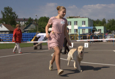 ZOLOTOY OHOTNIK VANILLA SKY оценка отлично