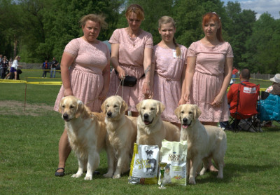 31 мая 2015на Республиканской выставке собак всех пород питомник "ЗОЛОТОЙ ОХОТНИК" получил титул лучшего питомника выставки