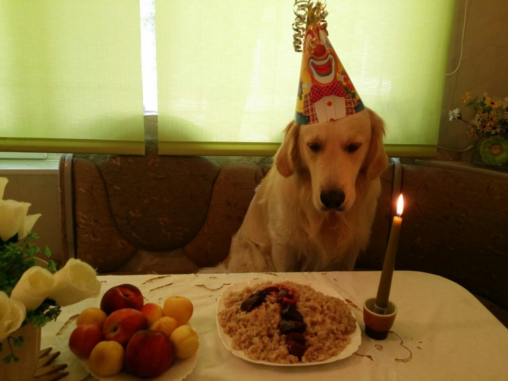 Золотой Охотник Вундеркинд празднует свой первый день рождения